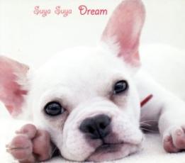 【バーゲンセール】【中古】CD▼ゆるクラ すやすや ドリーム レンタル落ち