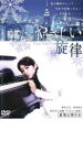 【バーゲンセール】【中古】DVD▼やさしい旋律 Blue Destiny レンタル落ち