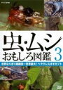 【中古】DVD▼虫・ムシ おもしろ図鑑 3 世界なりきり超絶技 世界最大!ヘラクレスオオカブト▽レンタル落ち