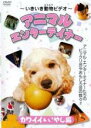 【バーゲンセール】【中古】DVD▼いきいき動物ビデオ アニマル・エンターテイナー カワイイ&いやし編 レンタル落ち