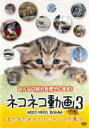 【中古】DVD▼ネコネコ動画 3 またまたおもしろニャンコ大集合 レンタル落ち