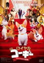 【バーゲンセール】【中古】DVD▼ロイヤルコーギー レックスの大冒険 レンタル落ち