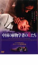 結婚の条件 [DVD]