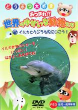 【中古】DVD▼どうつぶ大好き あつまれ!!世界のゆかいな動物たち 5 イルカとクジラを見にいこう