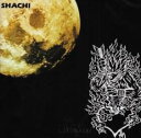 【バーゲンセール】【中古】CD▼Wolfist レンタル落ち