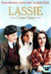 【中古】DVD▼名犬ラッシー 家路 レンタル落ち