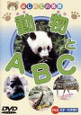 【バーゲンセール】【中古】DVD▼はじめての英語 動物とA・B・C