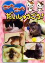 【バーゲンセール】【中古】DVD▼ニャンニャンだいしゅうごう レンタル落ち