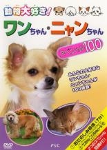 【バーゲンセール】【中古】DVD▼ワンちゃん・ニャンちゃん スペシャル100