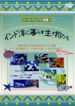 【バーゲンセール】【中古】DVD▼シリーズ・ヴィジアル図鑑 10 インド洋に暮らす生き物たち レンタル落ち