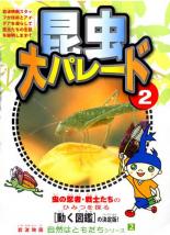 【バーゲンセール】【中古】DVD▼自然はともだちシリーズ 2 昆虫大パレード 2