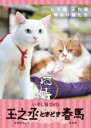 【バーゲンセール】【中古】DVD▼いやし猫DVD 猫侍 玉之丞ときどき春馬 レンタル落ち