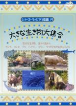 【中古】DVD▼シリーズ・ヴィジアル図鑑 15 大きな生き物大集合 レンタル落ち