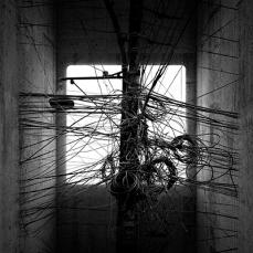 【中古】CD▼THE DARK BLACK GROOVE レンタル落ち