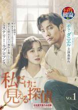 【中古】 私だけに見える探偵 (13巻セット) 【字幕】 [レンタル落ち] [DVD]