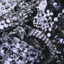 【バーゲンセール】【中古】CD▼Alpha 通常盤 レンタル落ち