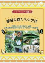 【バーゲンセール】【中古】DVD▼シリーズ・ヴィジュアル図鑑 24 華麗な蝶たちの世界 レンタル落ち