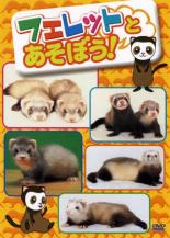 【バーゲンセール】【中古】DVD▼フェレットとあそぼう! レンタル落ち