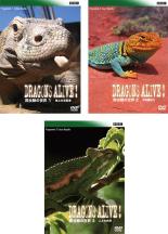 【バーゲンセール】【中古】DVD▼BBC 爬虫類の世界(3枚セット)1、2、3 字幕のみ レンタル落ち 全3巻