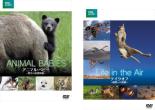【バーゲンセール】2パック【中古】DVD▼BBC EARTH ネイチャー・ドキュメンタリー(2枚セット)アニマル・ベビー 野生の成長物語、テイクオフ 飛翔への挑...
