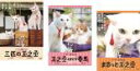 【バーゲンセール】【中古】DVD▼いやし猫DVD 猫侍(3枚セット)三匹の玉之丞、玉之丞ときどき春馬、まるっと玉之丞 レンタル落ち 全3巻