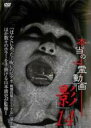 【バーゲンセール】【中古】DVD▼本当の心霊動画 影 14 レンタル落ち