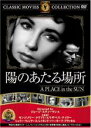 【バーゲンセール】【中古】DVD▼陽のあたる場所 字幕のみ