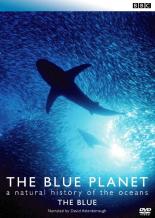 【バーゲンセール】【中古】DVD▼ブルー・プラネット 1 THE BLUE 字幕のみ レンタル落ち