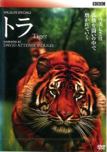 DVD▼ワイルド・ライフ スペシャルズ トラ 狩猟の覇者 レンタル落ち