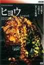 【バーゲンセール】【中古】DVD▼ワイルド・ライフ スペシャルズ ヒョウ 闇からの使者 レンタル落ち