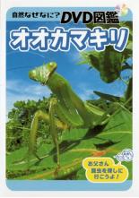 【バーゲンセール】【中古】DVD▼自然なぜなに? DVD図鑑 オオカマキリ レンタル落ち