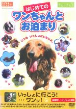 【バーゲンセール】【中古】DVD▼は