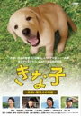 【バーゲンセール】【中古】DVD▼きな子 見習い警察犬の物語 レンタル落ち