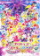 【バーゲンセール】【中古】DVD▼映画 プリキュアオールスターズ みんなで歌う 奇跡の魔法!▽レンタル落ち