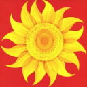 【バーゲンセール】【中古】CD▼ナツウタ レンタル落ち