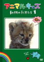 【中古】DVD▼アニマルキッズ 動物の子供たち 1