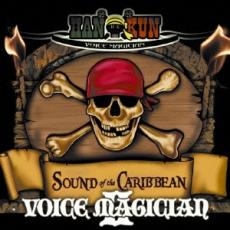 【バーゲンセール】【中古】CD▼VOICE MAGICIAN II SOUND of the CARIBBEAN 通常盤 レンタル落ち