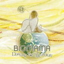 【処分特価・未検品・未清掃】【中古】CD▼Dowsing For The Future レンタル落ち