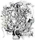 【処分特価・未検品・未清掃】【中古】CD▼anima CD+DVD 通常盤 レンタル落ち