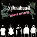 【バーゲンセール】【中古】CD▼ウェイスト・オブ MFZB レンタル落ち
