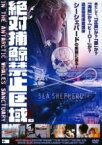 【バーゲンセール】【中古】DVD▼絶対捕鯨禁止区域 IN THE ANTARCTIC WHALES SANCTUARY 字幕のみ レンタル落ち