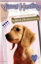 【バーゲンセール】【中古】DVD▼Visual Healing 11 3ッ子のミニチュアダックスフンド クリーム