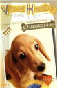 【バーゲンセール】【中古】DVD▼Visual Healing 8 ミニチュアダックスフンド ゴールド