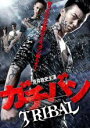 【処分特価・未検品・未清掃】【中古】DVD▼ガチバン TRIBAL▽レンタル落ち