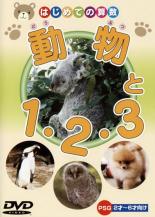 【バーゲンセール】【中古】DVD▼動物と1・2・3