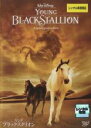 【バーゲンセール】【中古】DVD▼ヤング・ブラック・スタリオン レンタル落ち
