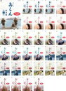 全巻セット【送料無料】【中古】DVD▼連続テレビ小説 おしん 完全版(31枚セット)第1話〜297話 最終 レンタル落ち