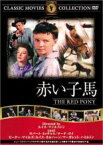 【バーゲンセール】【中古】DVD▼赤い子馬 字幕のみ