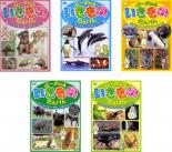 【中古】DVD▼バーチャル いきもの たんけん(5枚セット)ペットショップ、すいぞくかん、どうぶつえん、サファリパーク、こんちゅうかん レンタル落ち 全5巻