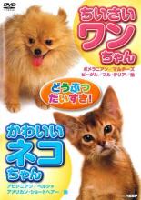 【中古】DVD▼どうぶつだいすき ちいさいワンちゃん&かわいいネコちゃん▽レンタル落ち